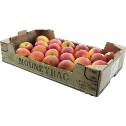 POMME REINE DES REINETTES MOUNEYRAC 5KG